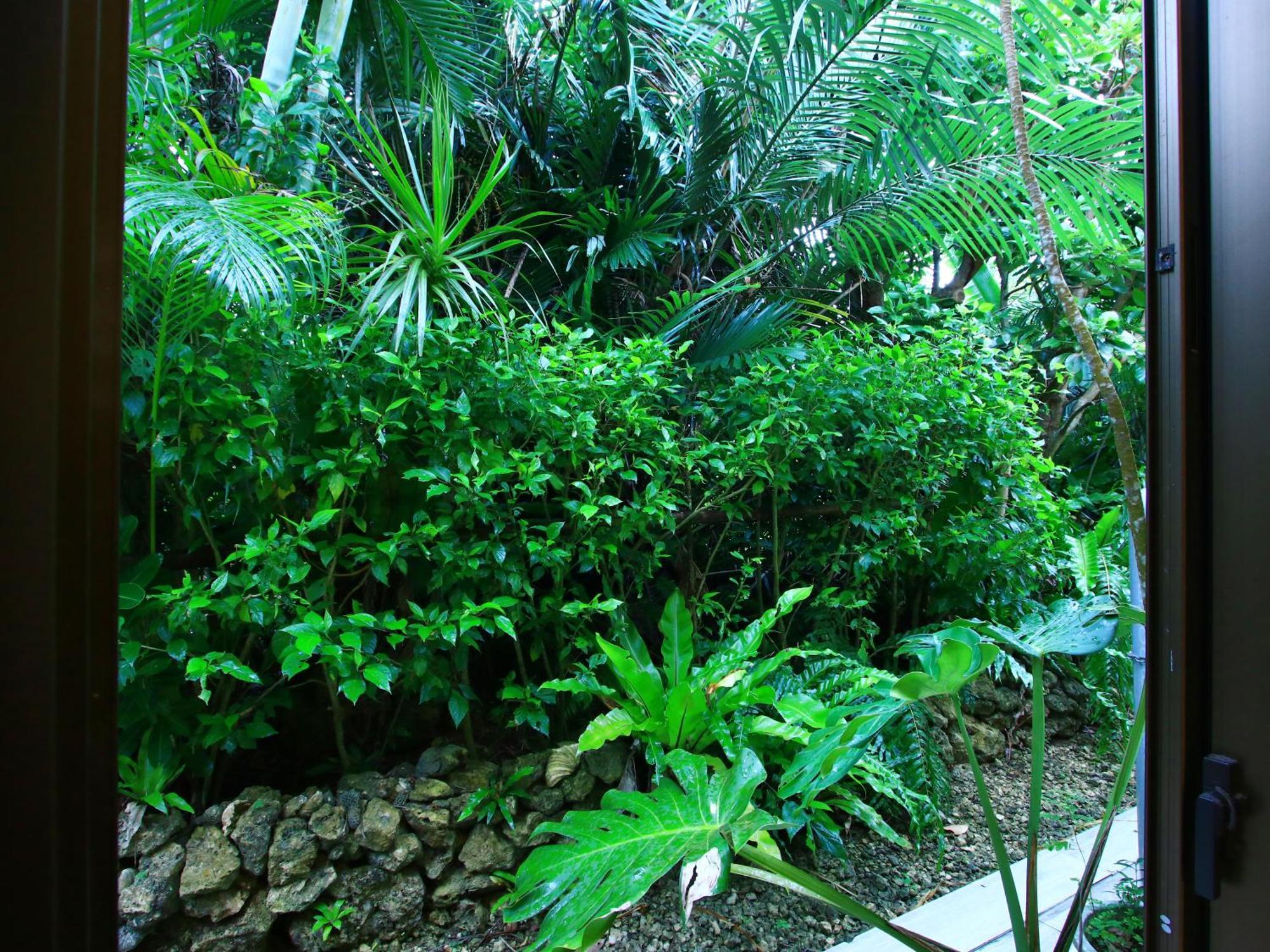Kachibai Vila Ishigaki  Exterior foto